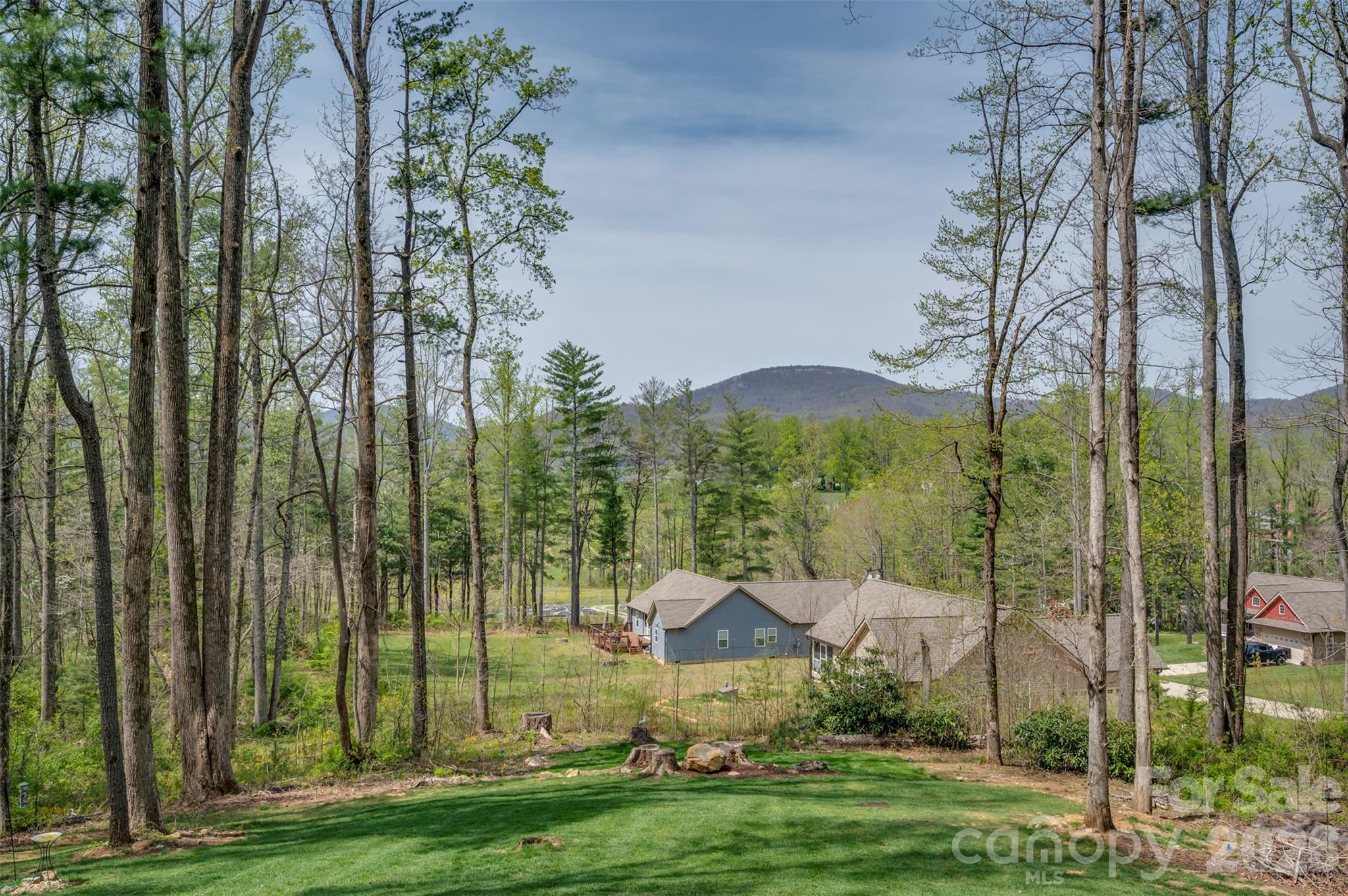 88 Pounding Mill Hendersonville NC 28792