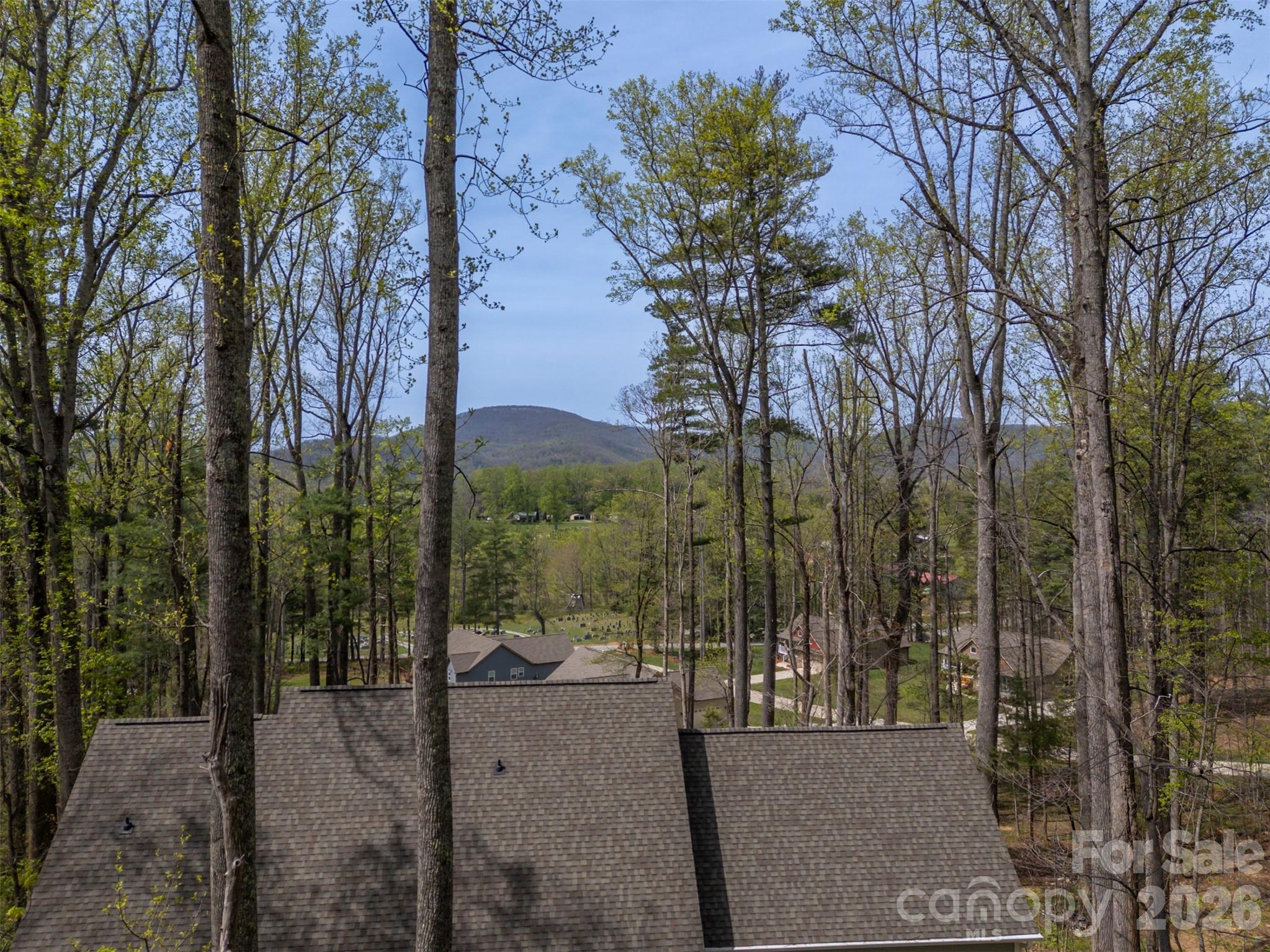 88 Pounding Mill Hendersonville NC 28792