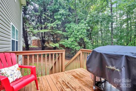 1300 Dunmore Court Clover SC 29710