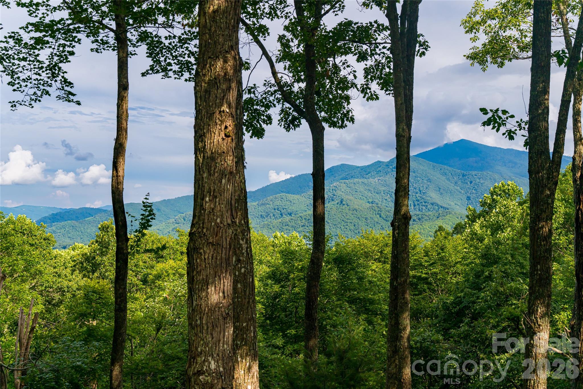 163 Tweetys Knoll Burnsville NC 28714