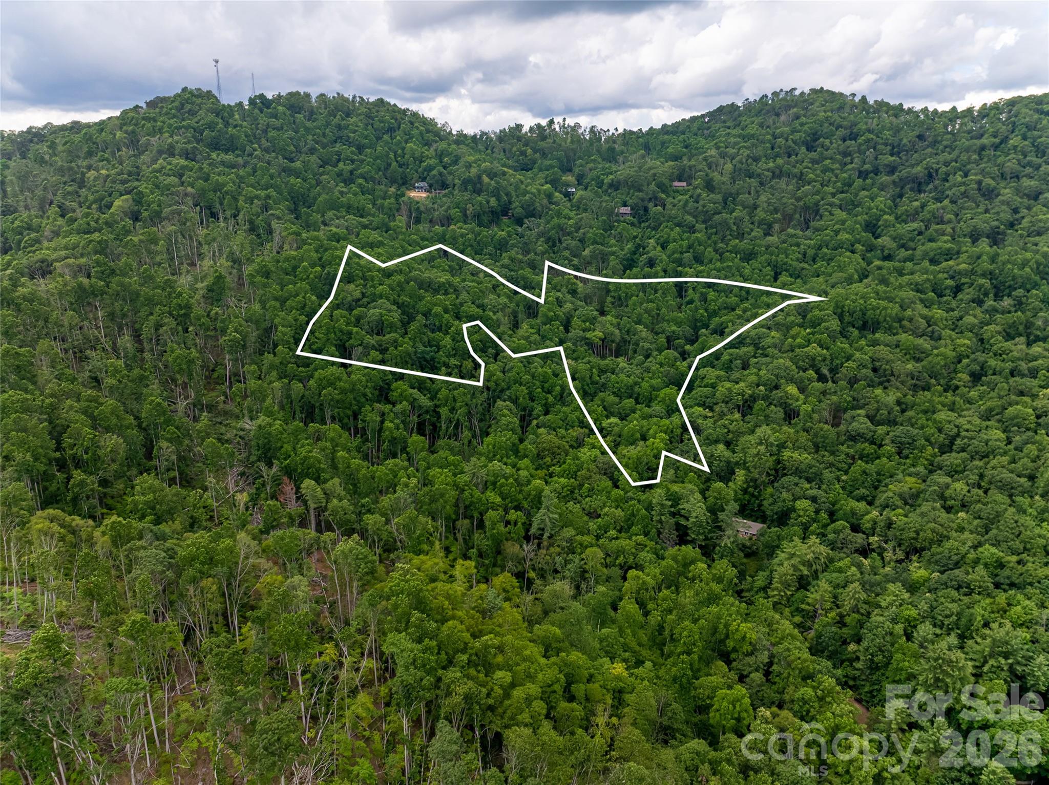 163 Tweetys Knoll Burnsville NC 28714
