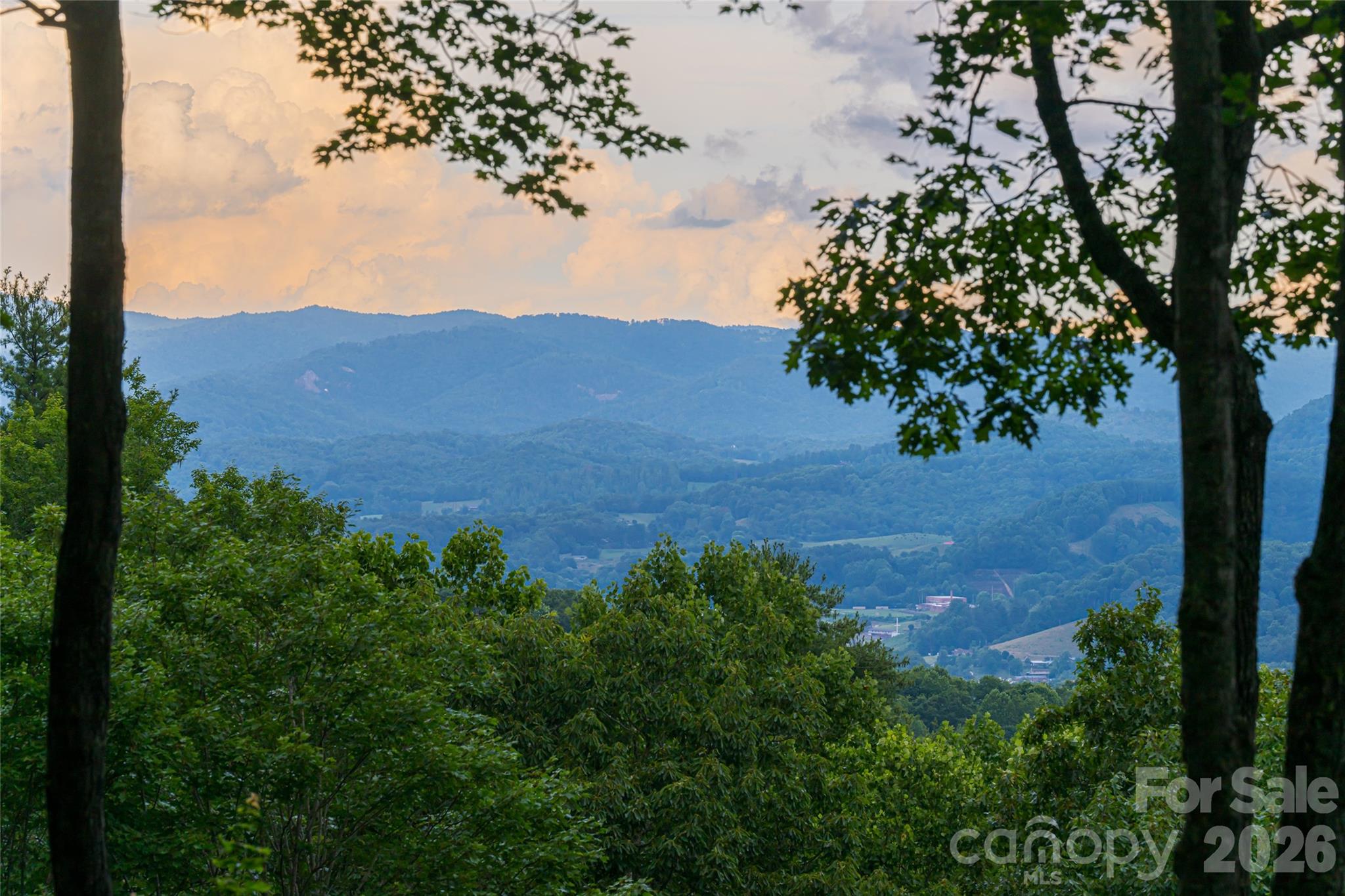 163 Tweetys Knoll Burnsville NC 28714