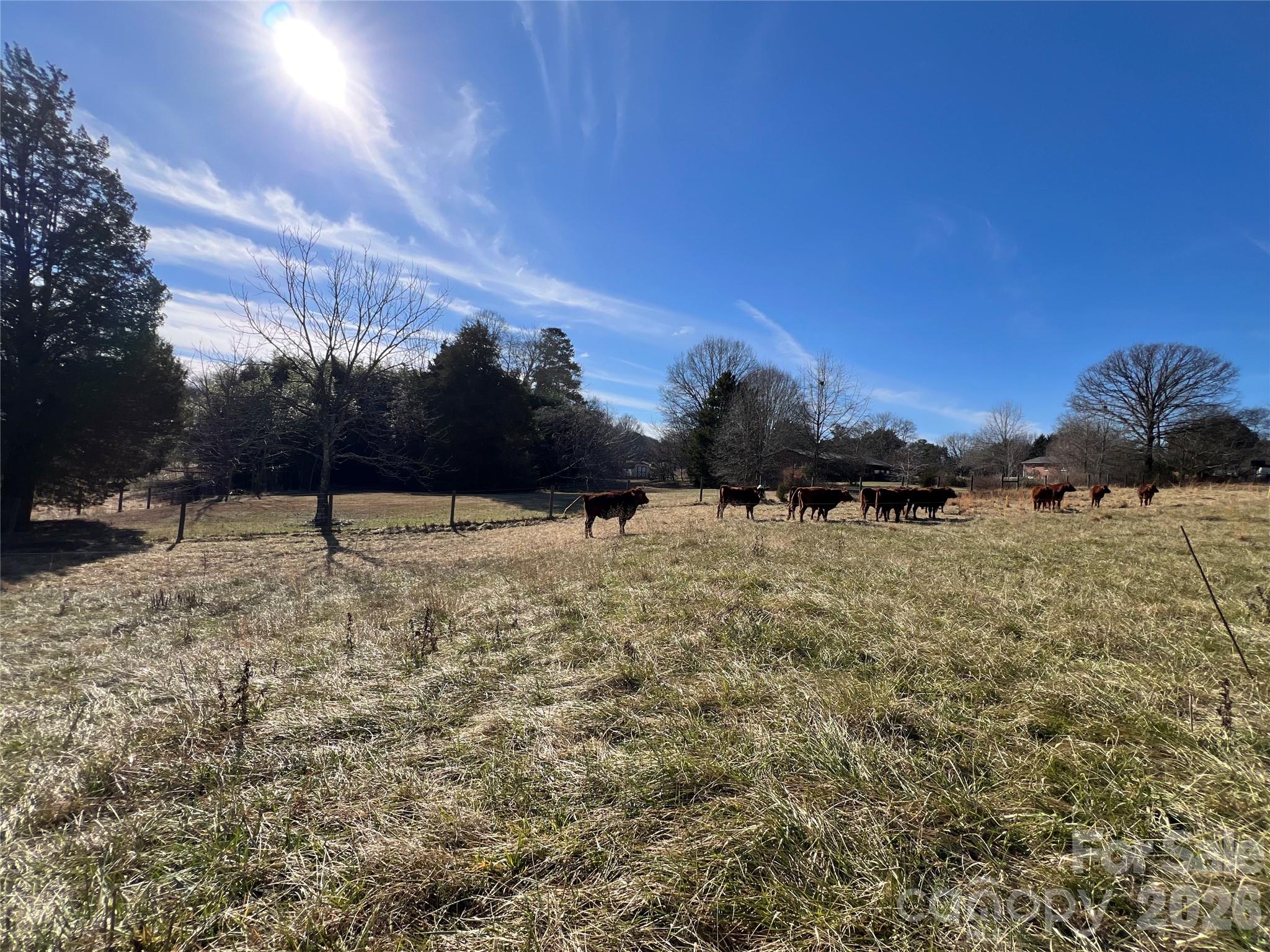 328 Davidson Court Taylorsville NC 28681
