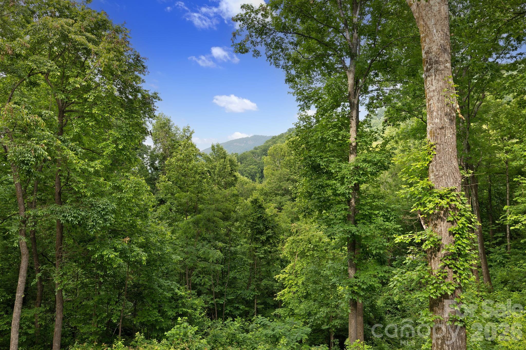 771 Sally Gap Road Old Fort NC 28762