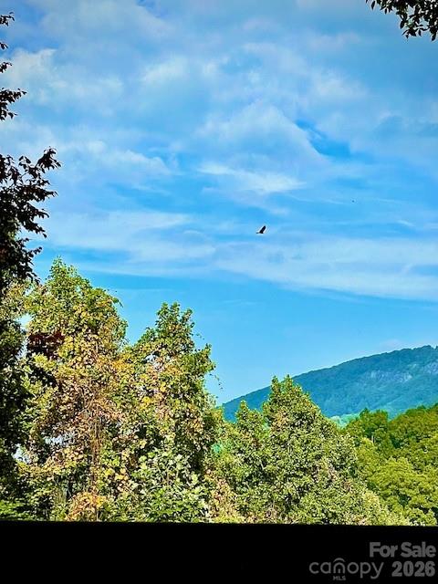 771 Sally Gap Road Old Fort NC 28762