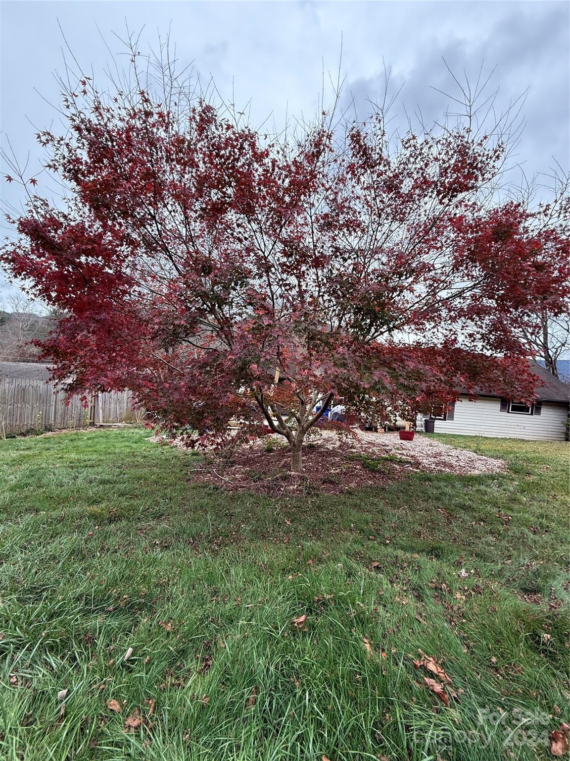 106 Kerlee Street Black Mountain NC 28711