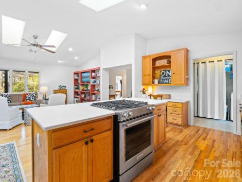 33 Ugedaliyvi Court Brevard NC 28712