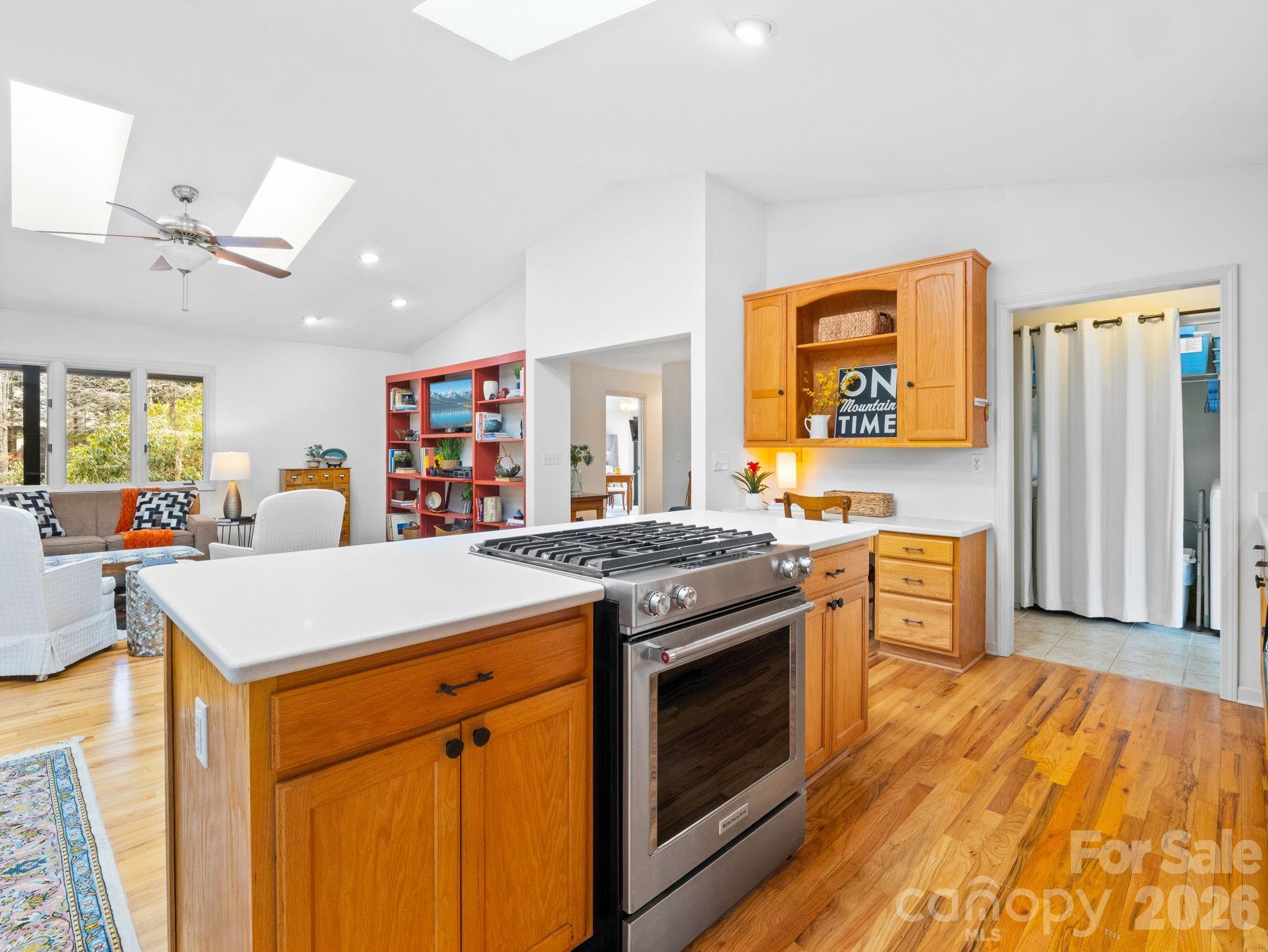 33 Ugedaliyvi Court Brevard NC 28712