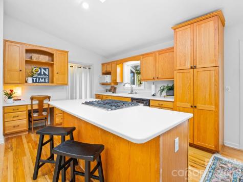 33 Ugedaliyvi Court Brevard NC 28712