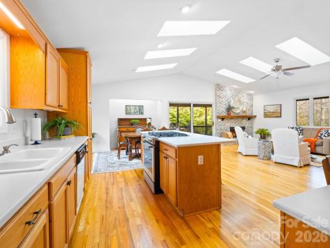 33 Ugedaliyvi Court Brevard NC 28712