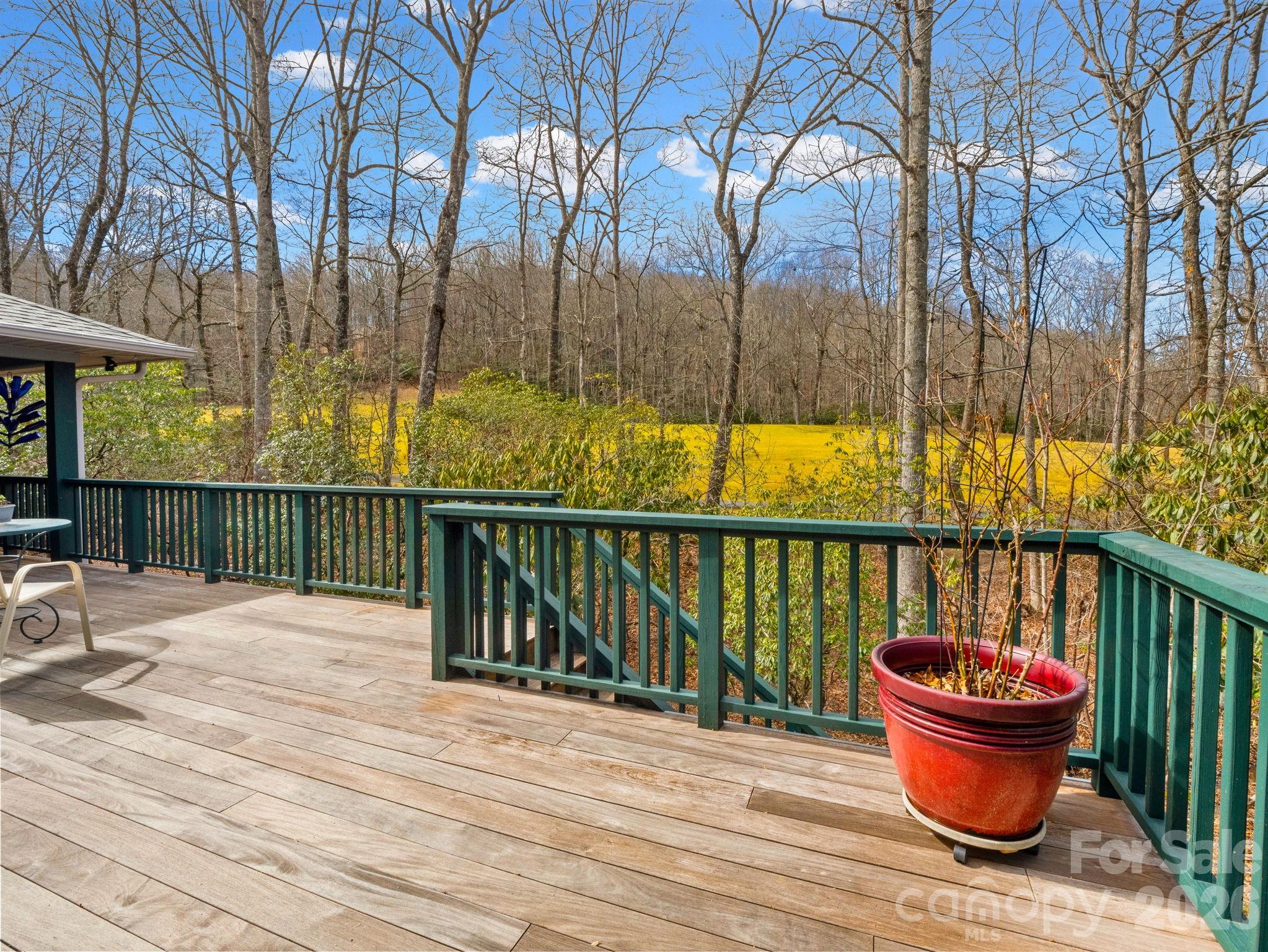 33 Ugedaliyvi Court Brevard NC 28712