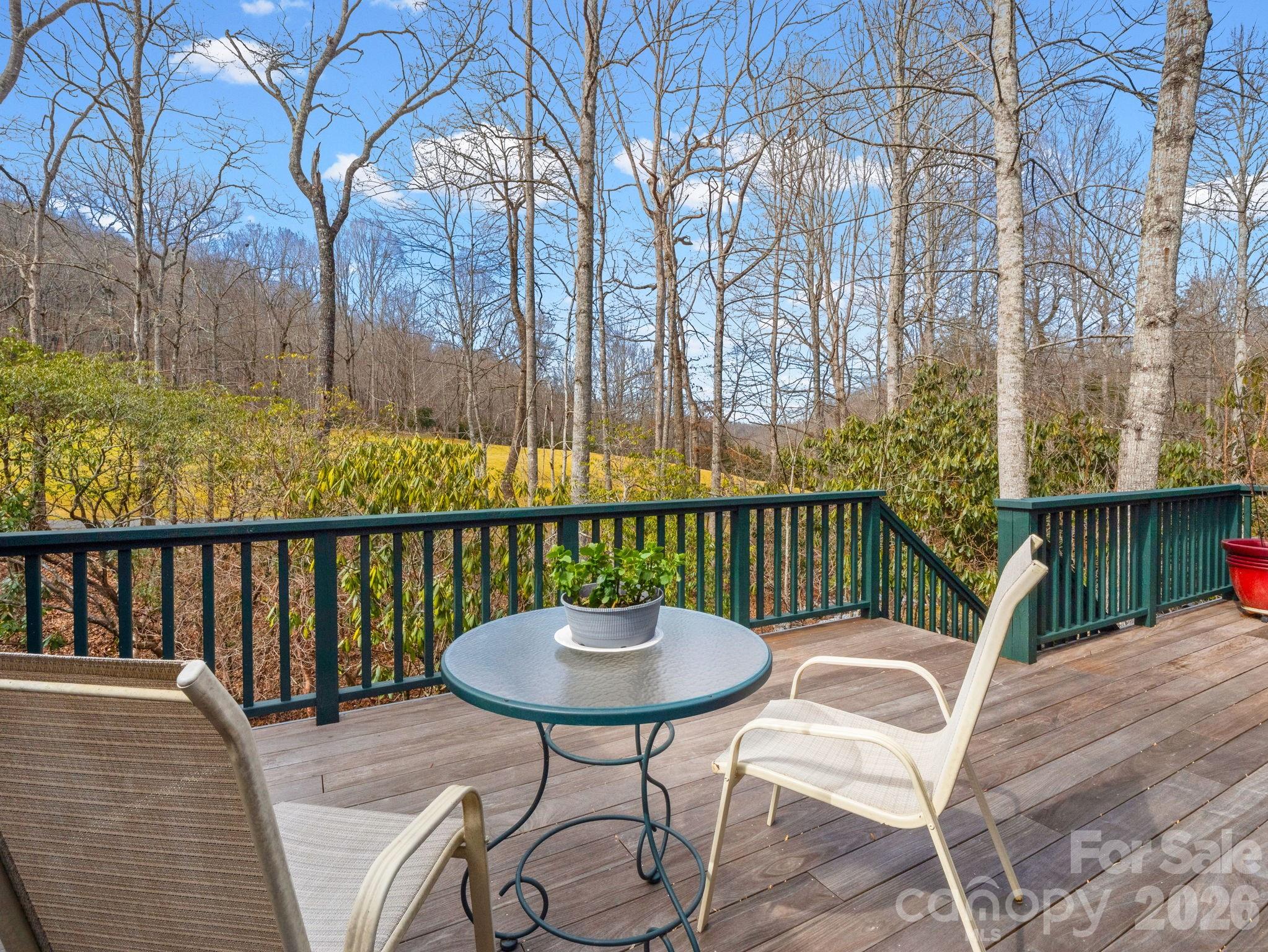 33 Ugedaliyvi Court Brevard NC 28712