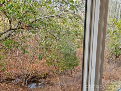 33 Ugedaliyvi Court Brevard NC 28712