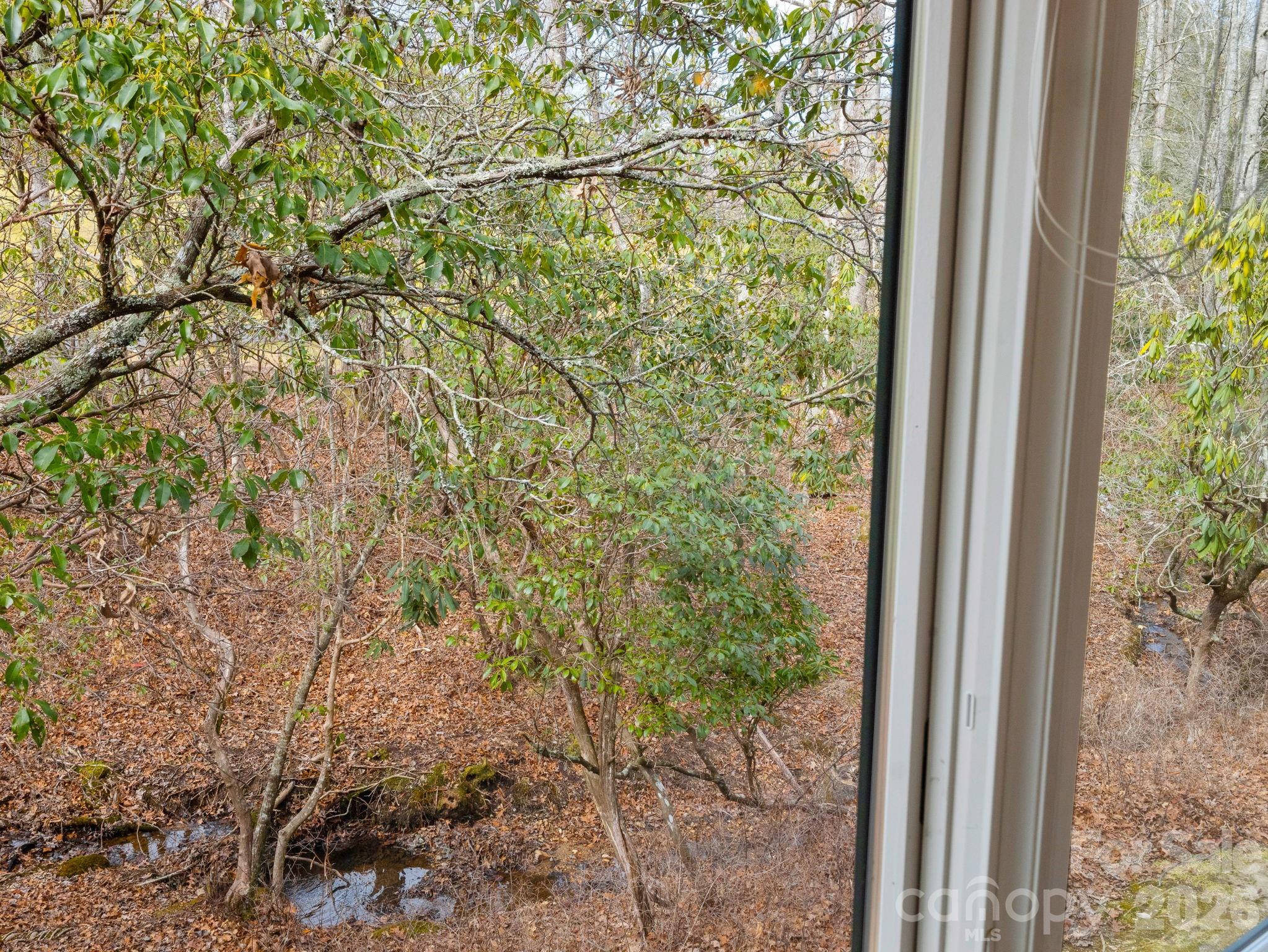 33 Ugedaliyvi Court Brevard NC 28712