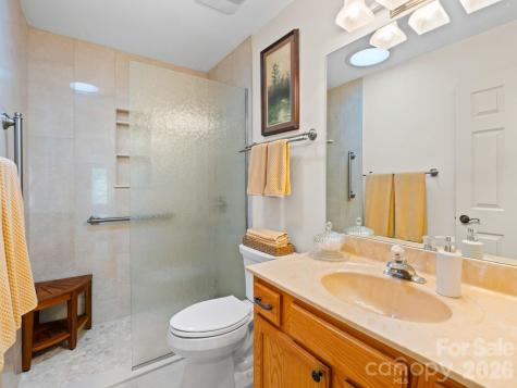 33 Ugedaliyvi Court Brevard NC 28712