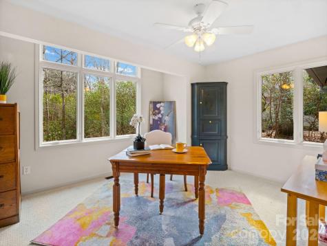 33 Ugedaliyvi Court Brevard NC 28712