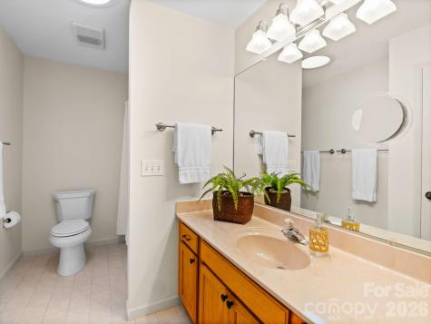 33 Ugedaliyvi Court Brevard NC 28712