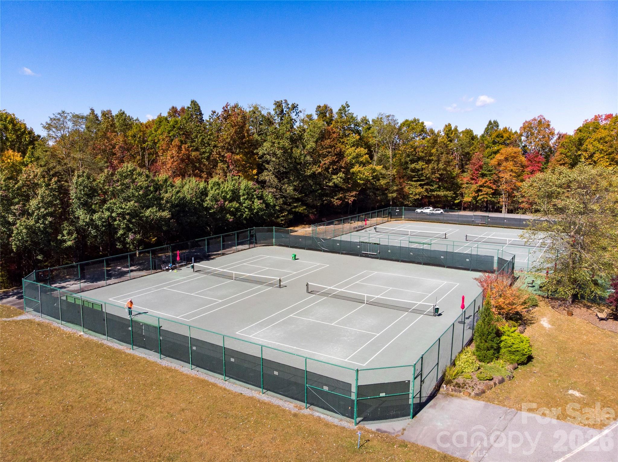 33 Ugedaliyvi Court Brevard NC 28712