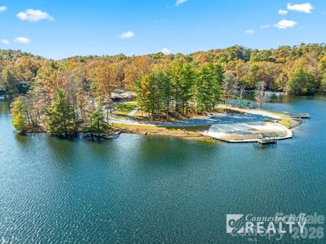 33 Ugedaliyvi Court Brevard NC 28712