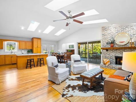 33 Ugedaliyvi Court Brevard NC 28712