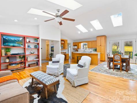 33 Ugedaliyvi Court Brevard NC 28712