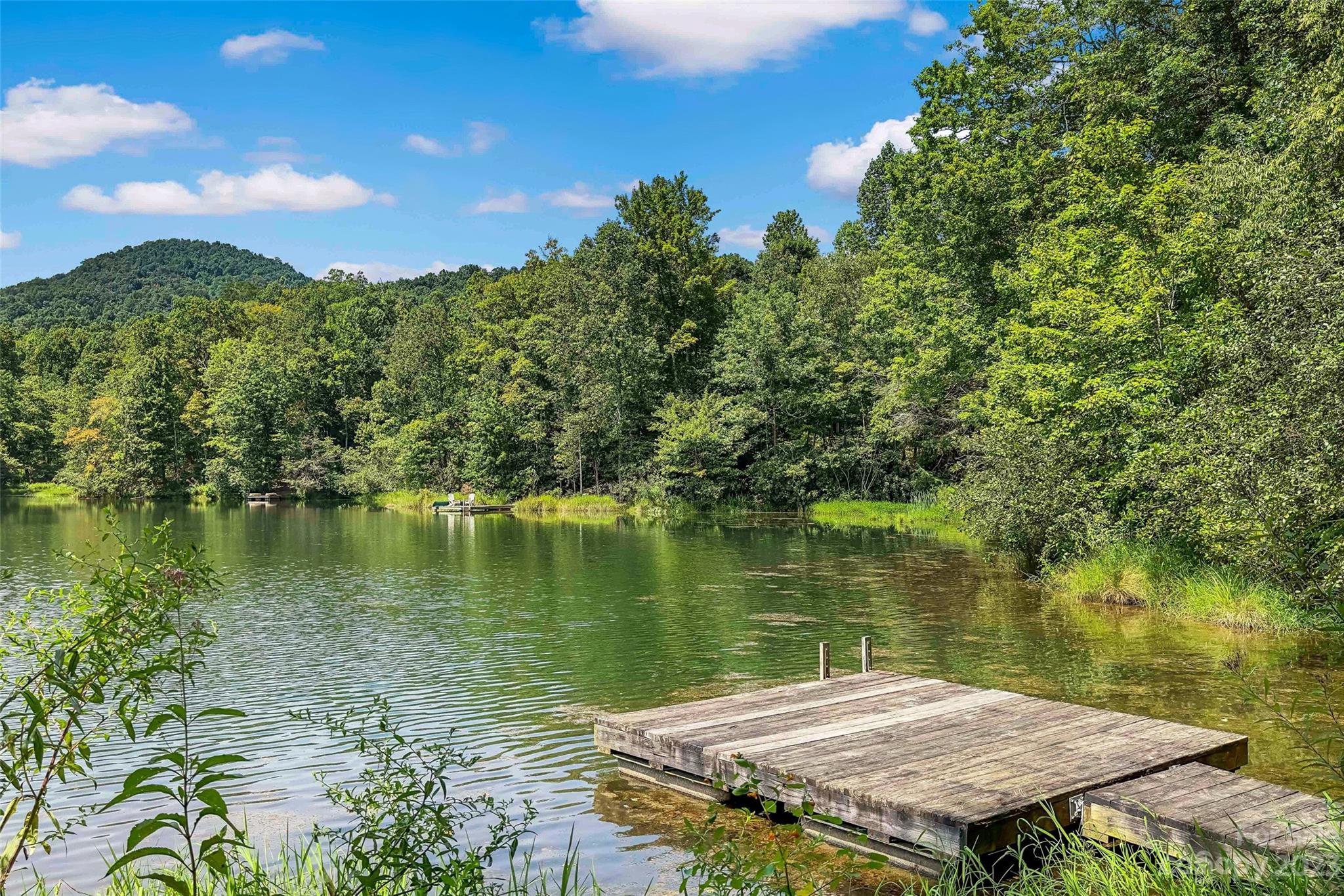 751 Wild Cherry Lane Old Fort NC 28762