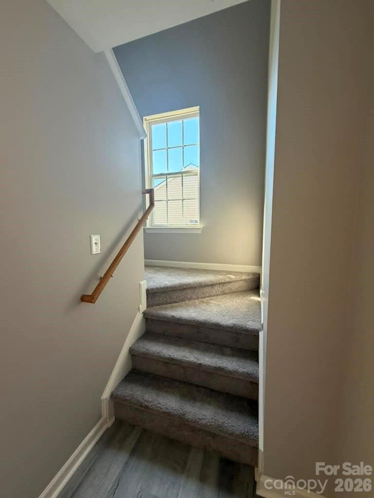 8207 Belmont Stables Drive Charlotte NC 28216