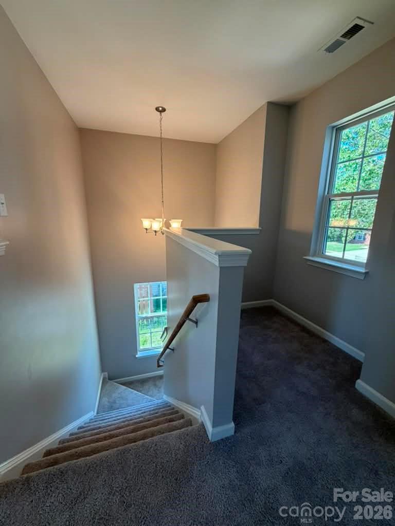 8207 Belmont Stables Drive Charlotte NC 28216