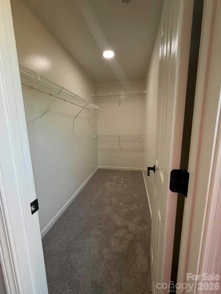 8207 Belmont Stables Drive Charlotte NC 28216