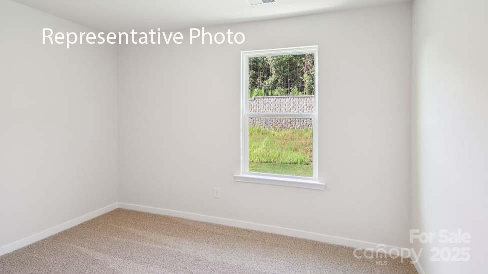 572 Dazzle Loop Newton NC 28658