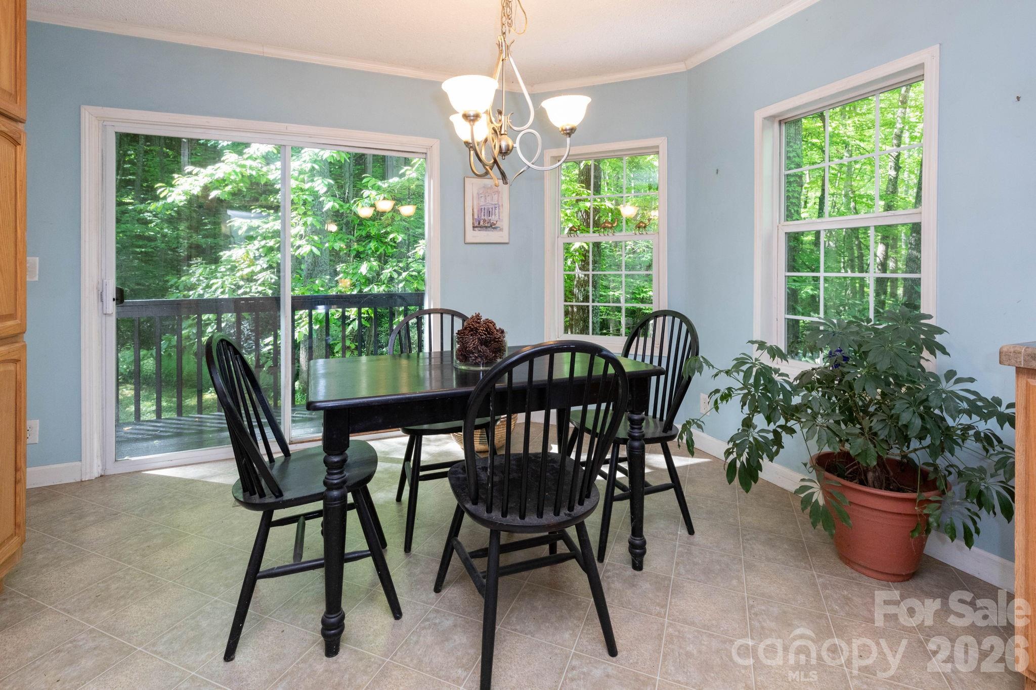 159 Marcellina Drive Fairview NC 28730