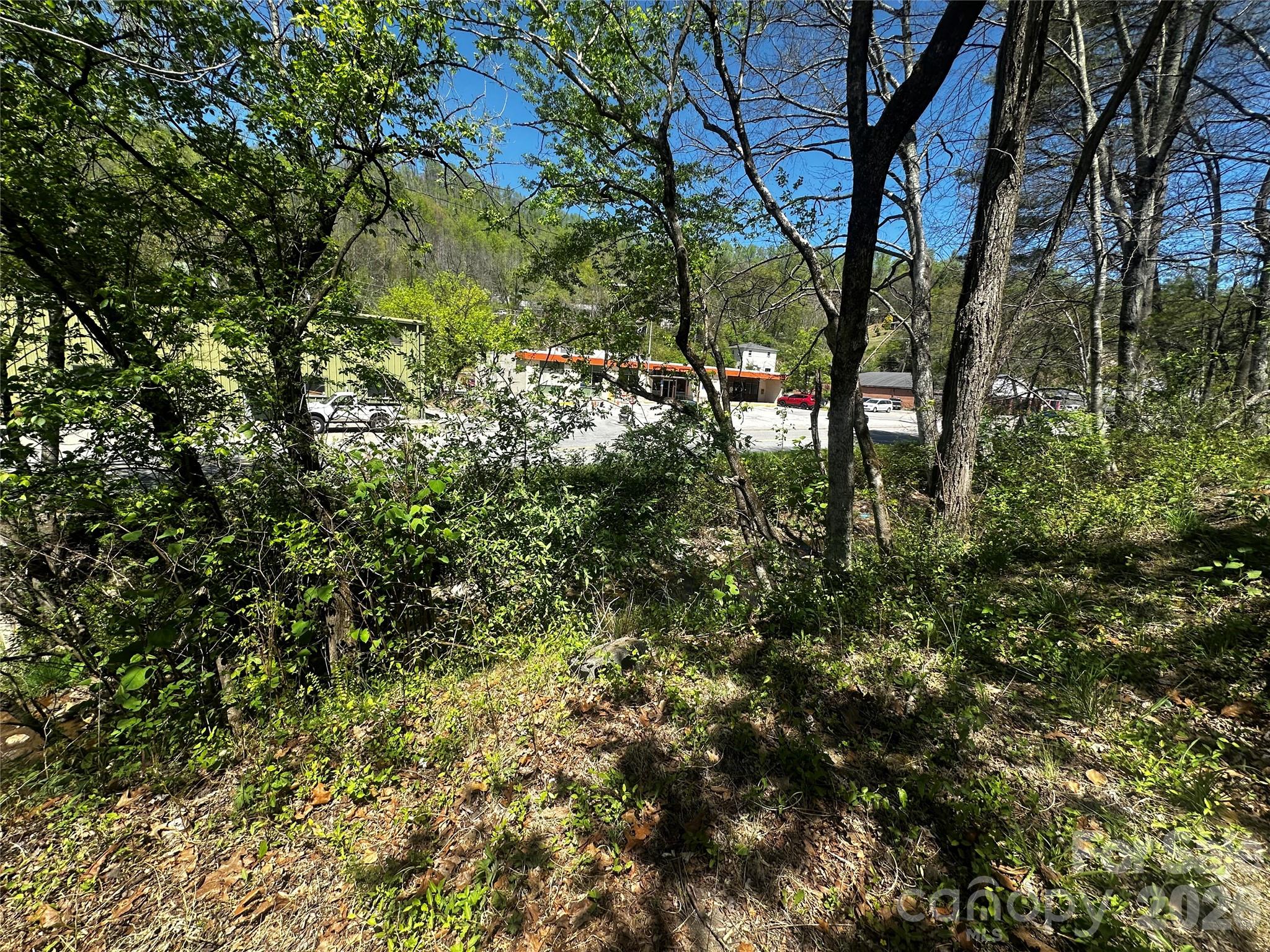7 Poplar Drive Spruce Pine NC 28777