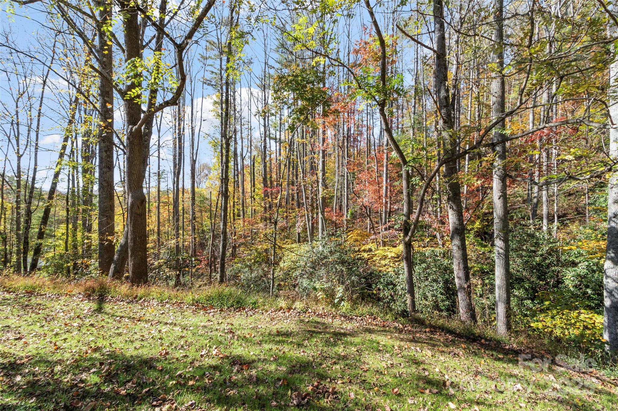 96 Thompson Road Spruce Pine NC 28777