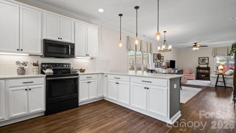 830 Iris Lane Newton NC 28658