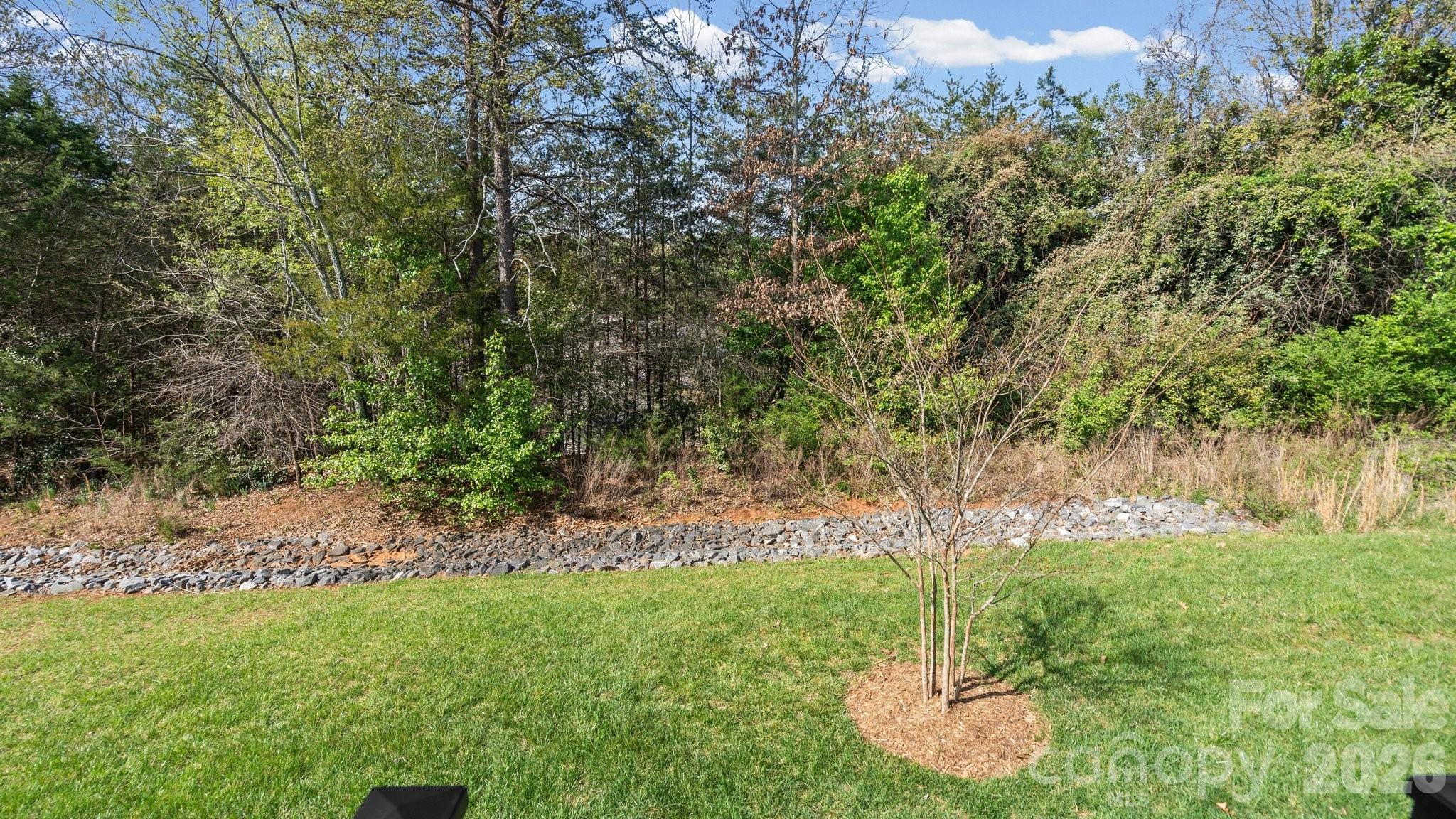 830 Iris Lane Newton NC 28658
