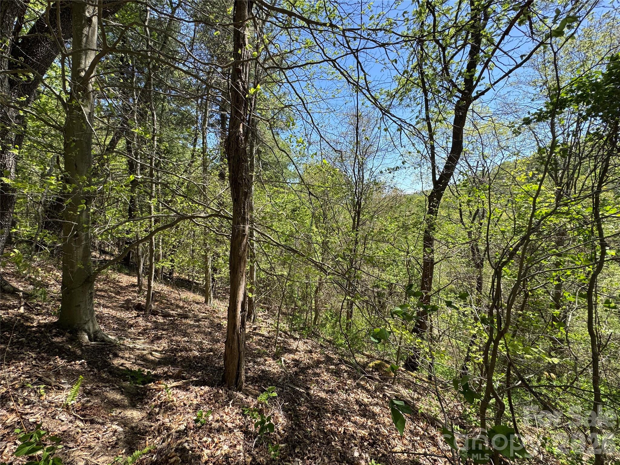 942 Fisher Branch Road Marshall NC 28753