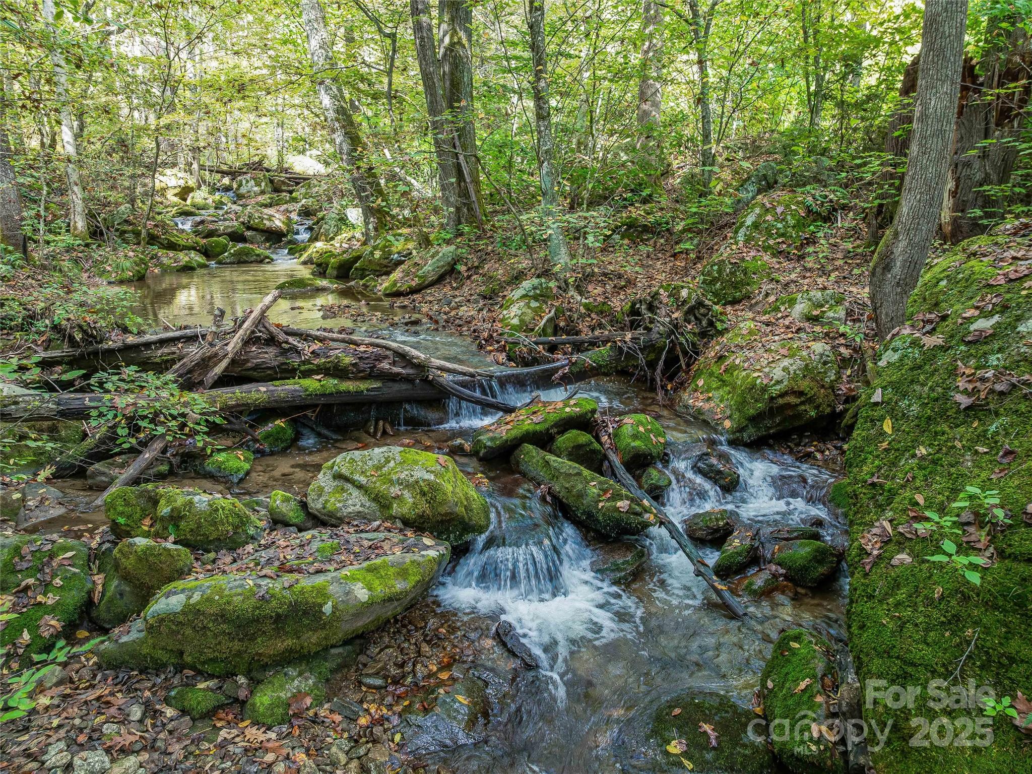 945 Roaring Fork Road Hot Springs NC 28743
