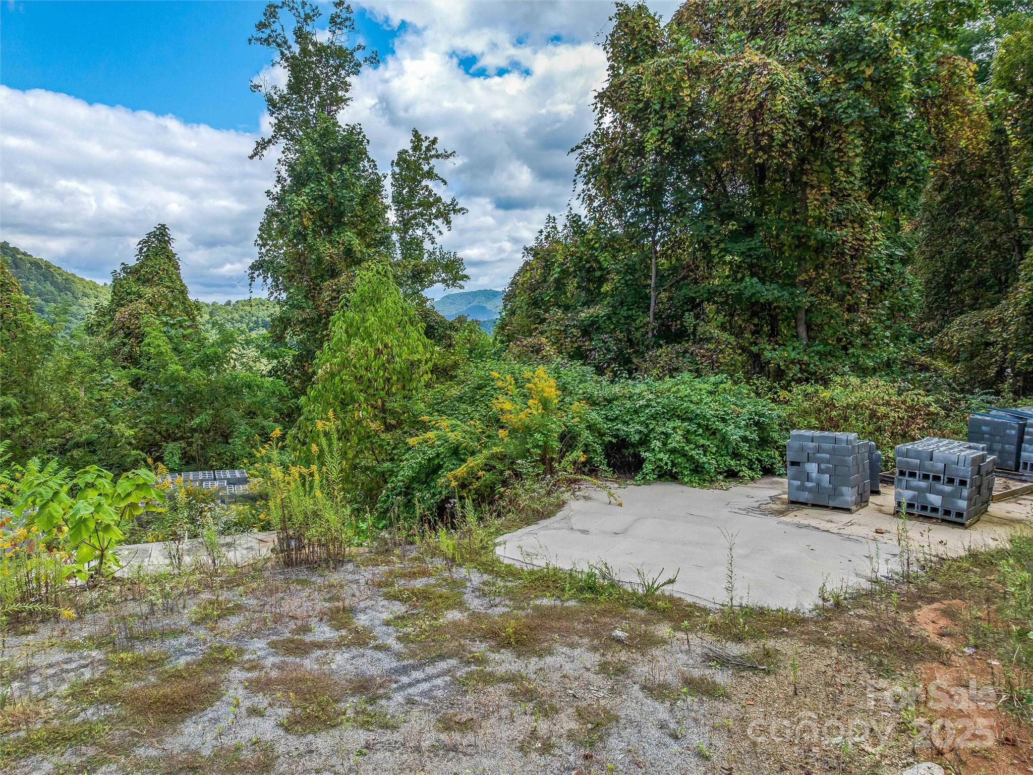 945 Roaring Fork Road Hot Springs NC 28743