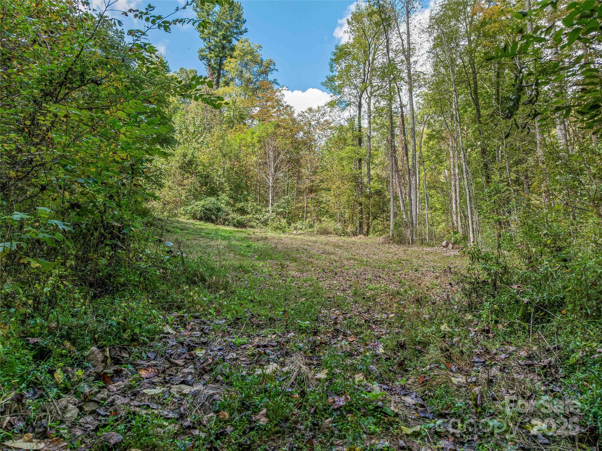 945 Roaring Fork Road Hot Springs NC 28743