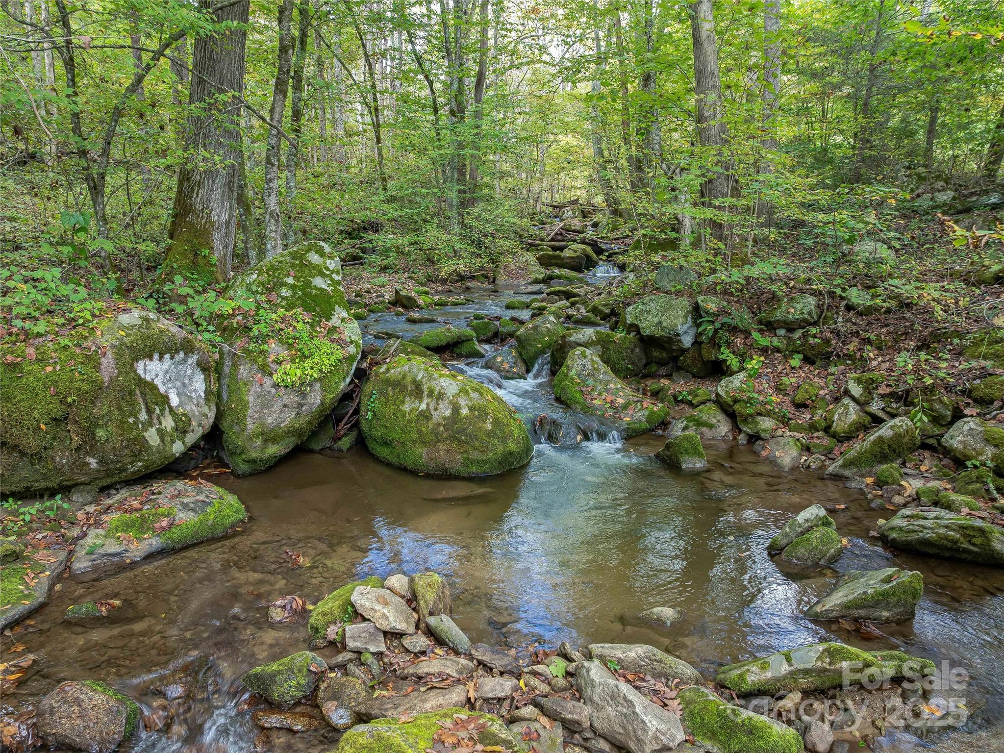 945 Roaring Fork Road Hot Springs NC 28743