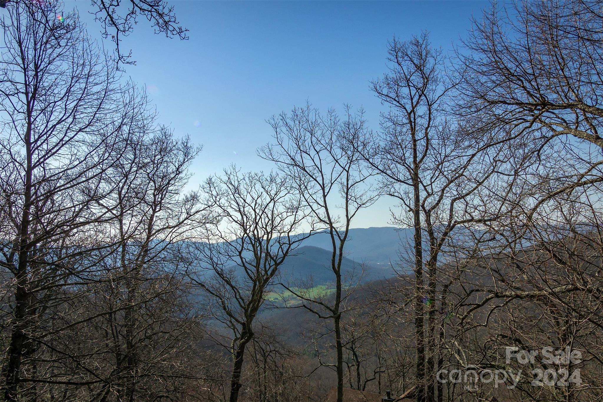 34 Wedgewood Terrace Black Mountain NC 28711