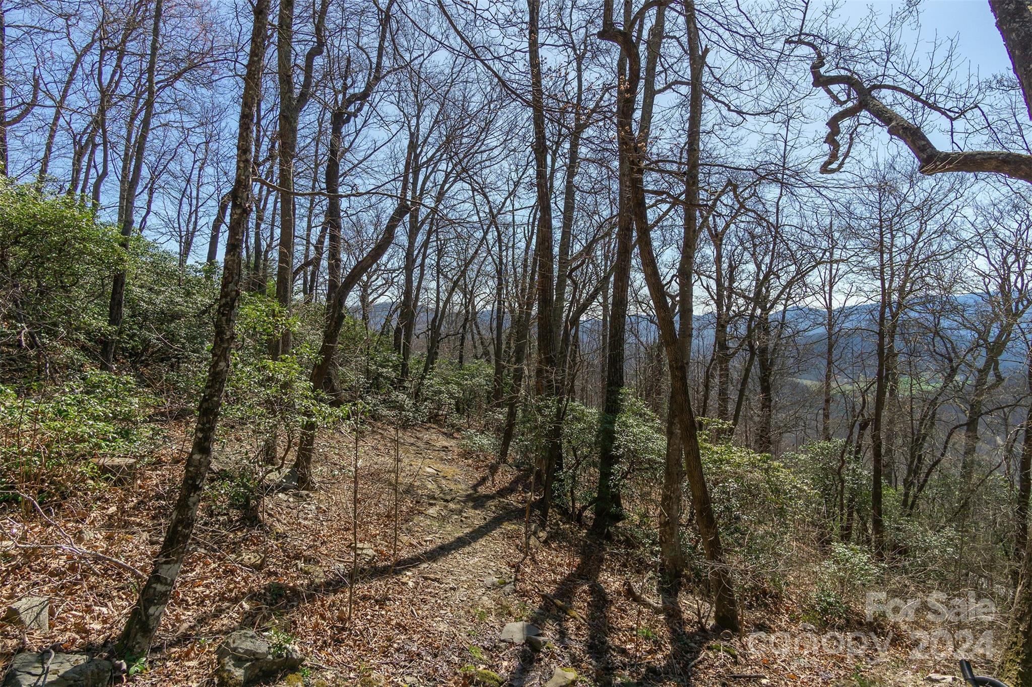 34 Wedgewood Terrace Black Mountain NC 28711