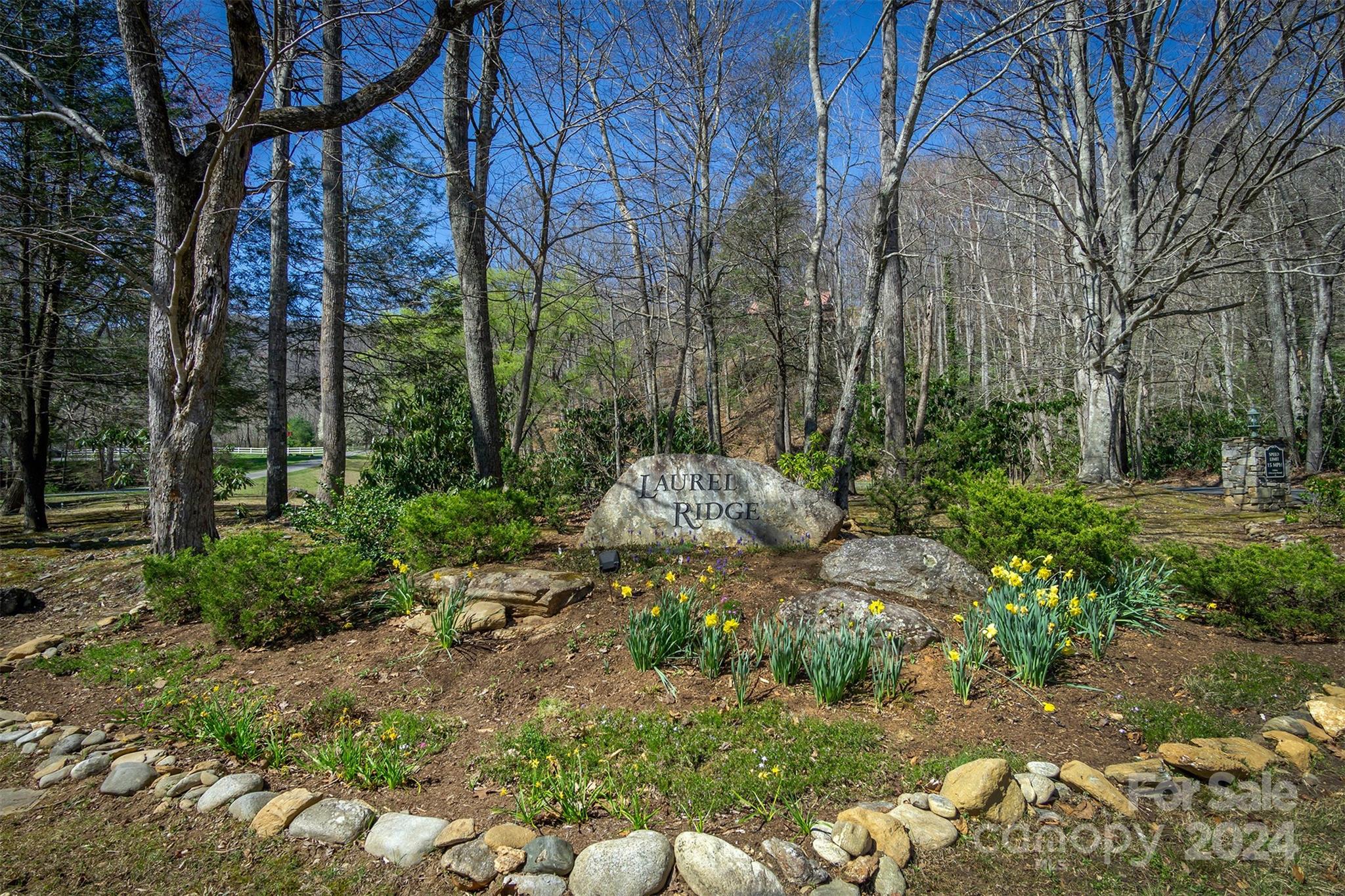 34 Wedgewood Terrace Black Mountain NC 28711