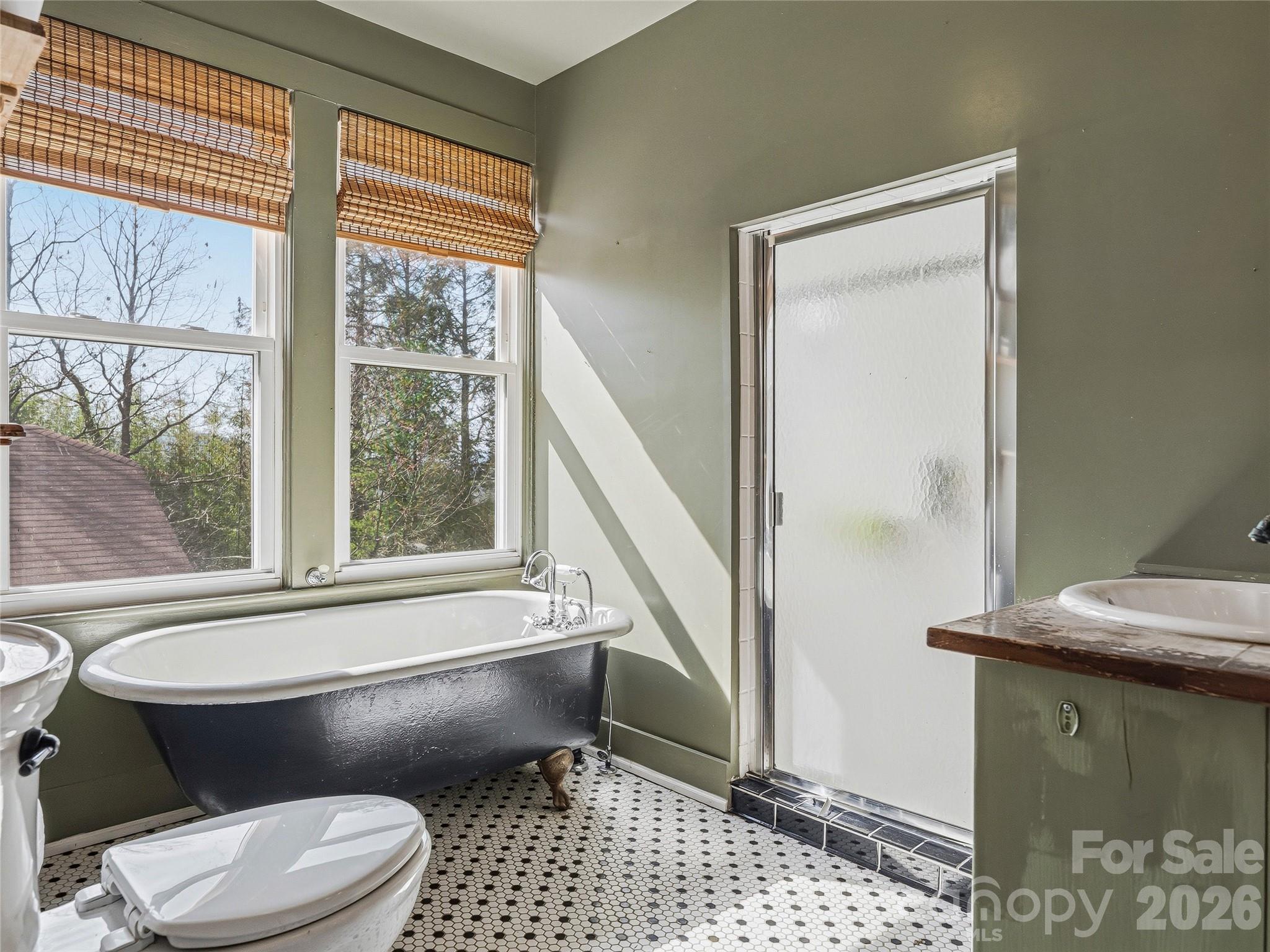 3 Perrion Avenue Weaverville NC 28787