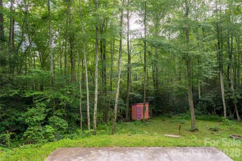 4035 Bald Creek Road Clyde NC 28721