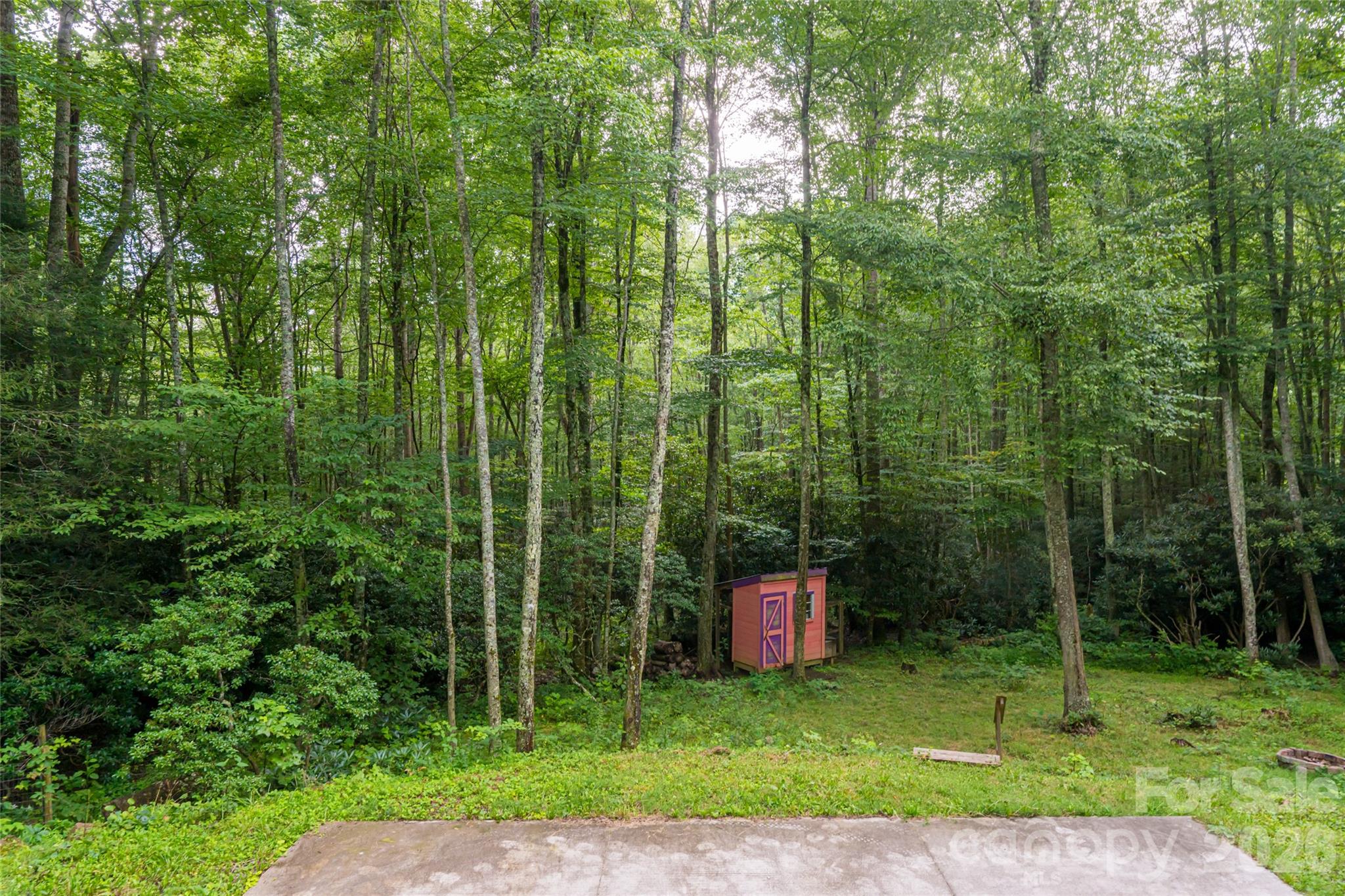 4035 Bald Creek Road Clyde NC 28721