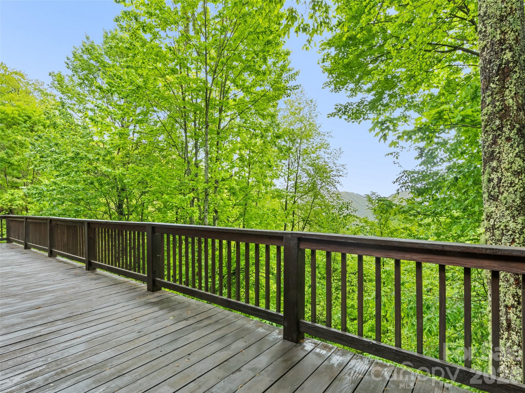 297 Hidden Cove Road Maggie Valley NC 28751