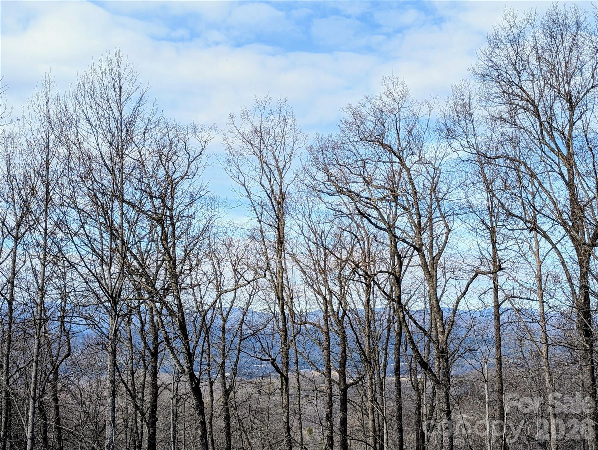 1064 Skye Drive Pisgah Forest NC 28768