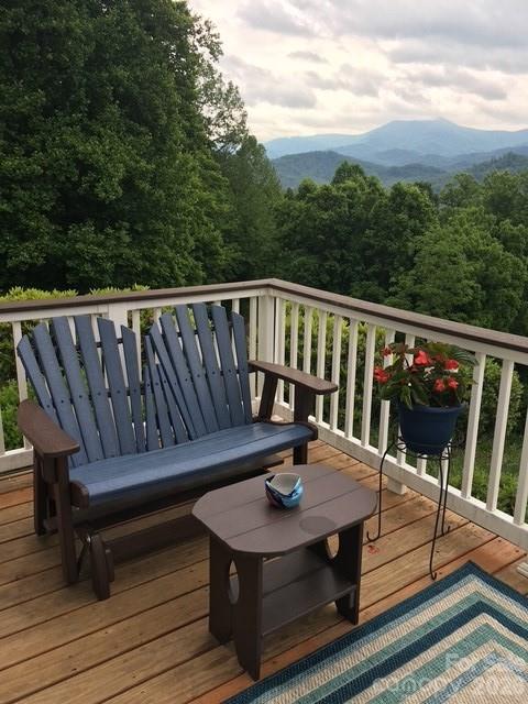 770 Discovery Place Sylva NC 28779