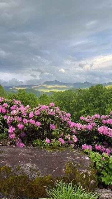 770 Discovery Place Sylva NC 28779